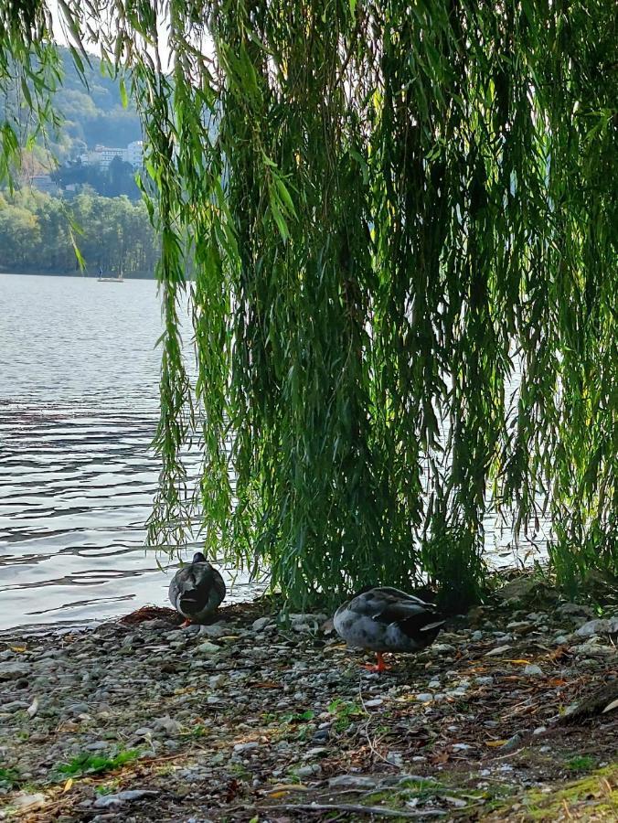 I Gelsi - Holiday Home Lago  Екстериор снимка